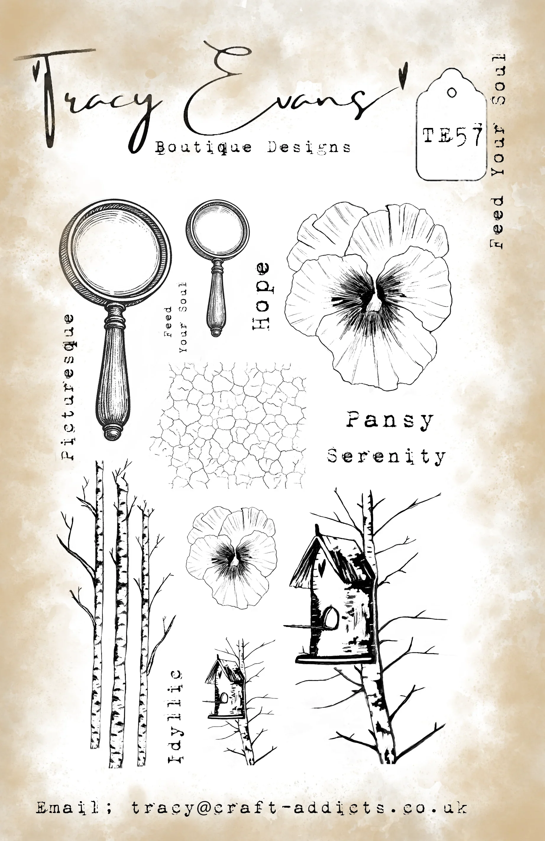 La Belleza de una Flor: Troque - Candle Making Books reseña y precio