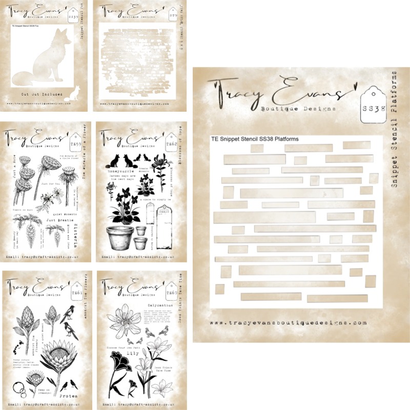 Plantillas y Sellos Transparen - Candle Making Books reseña y precio
