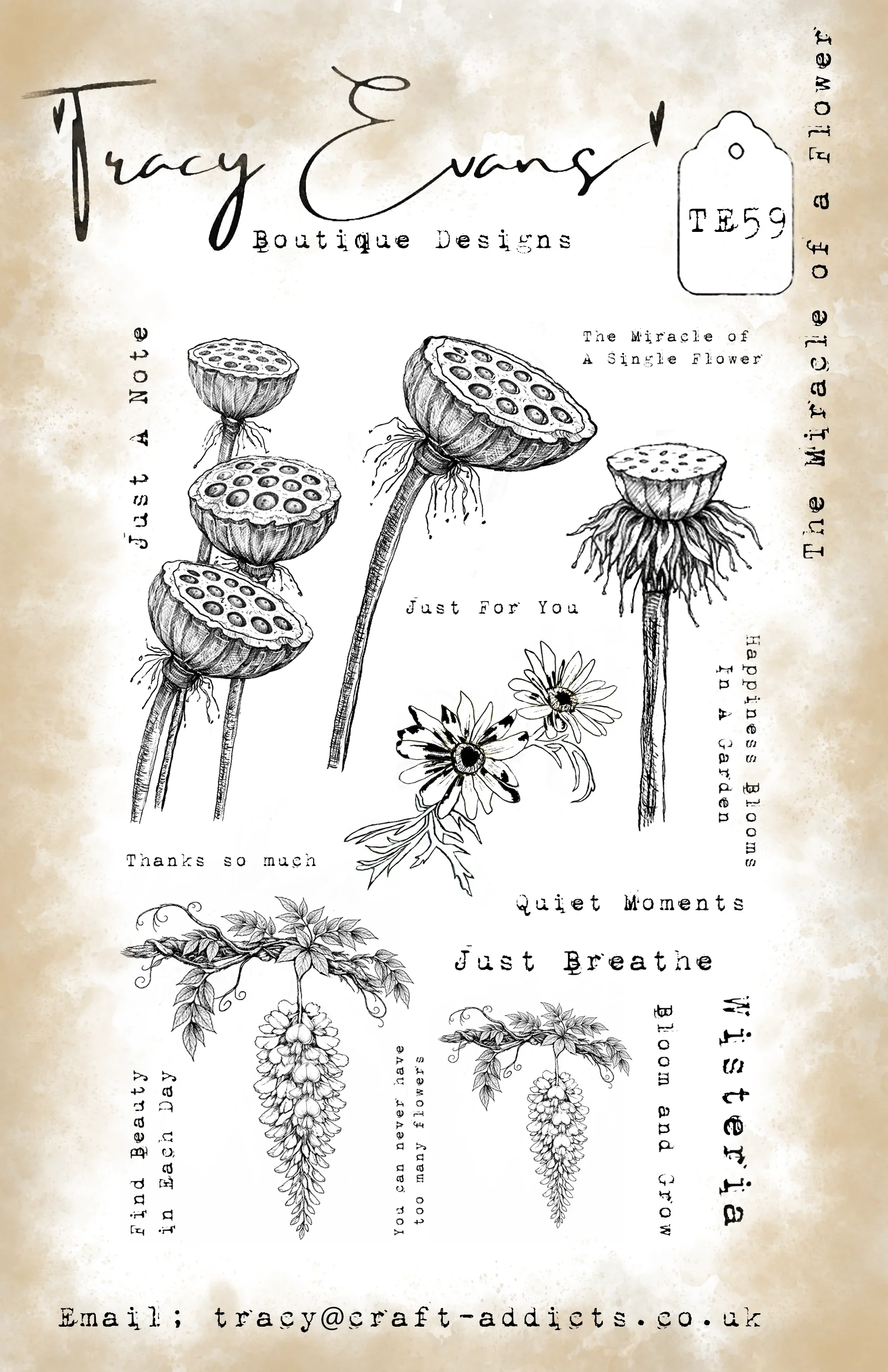 Plantillas y Sellos Transparen - Candle Making Books reseña y precio