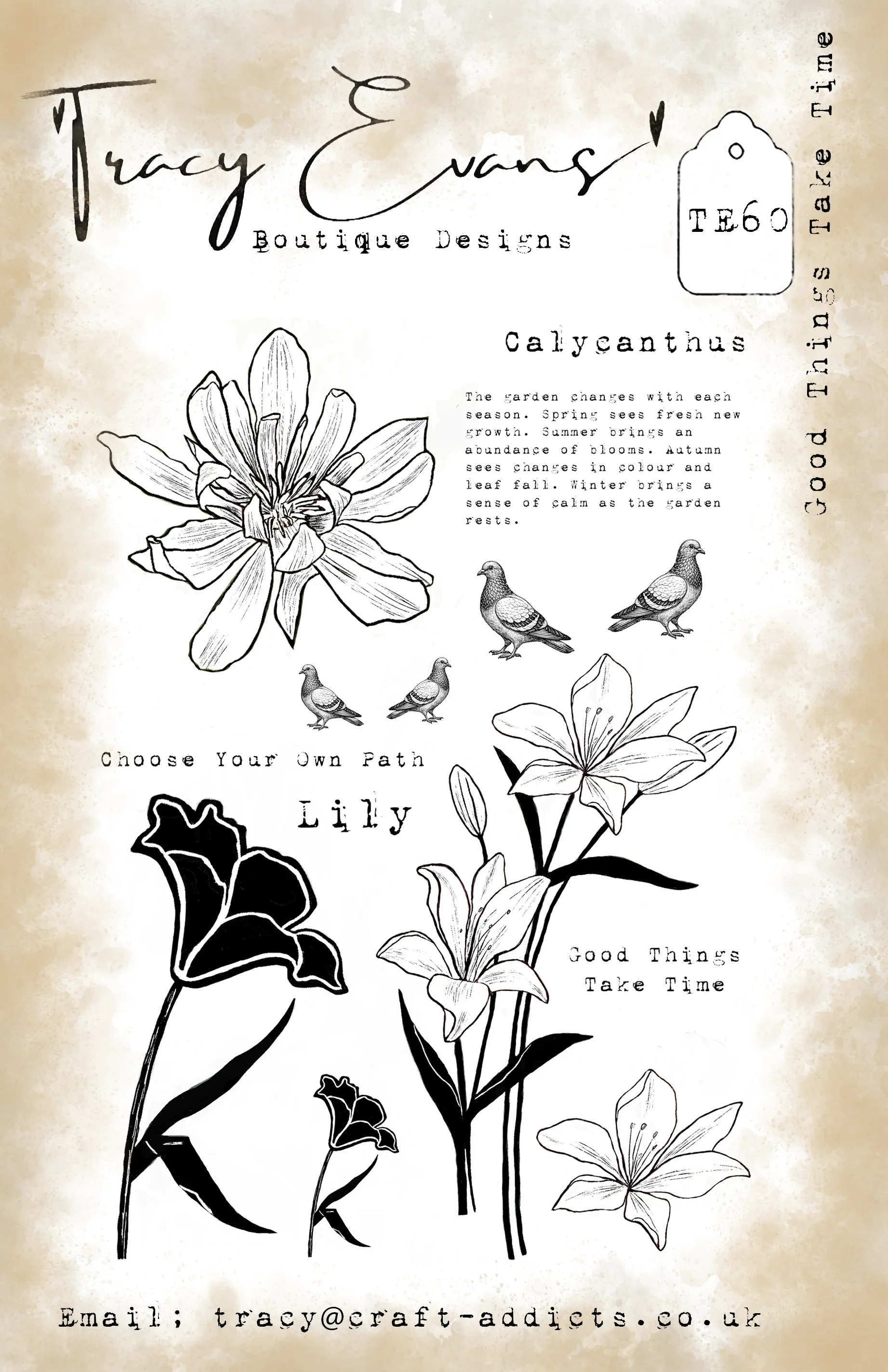 Plantillas y Sellos Transparen - Candle Making Books reseña y precio
