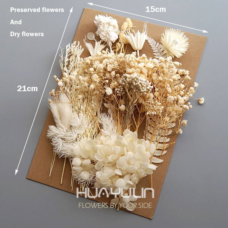 1 paquete de plantas artificia - Candle Making At Home reseña y precio